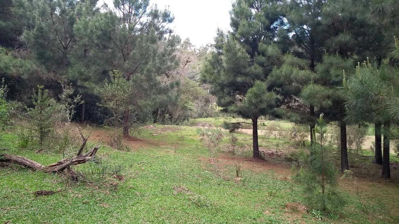 Chalé Estância Ouro Verde Lages Esterno foto